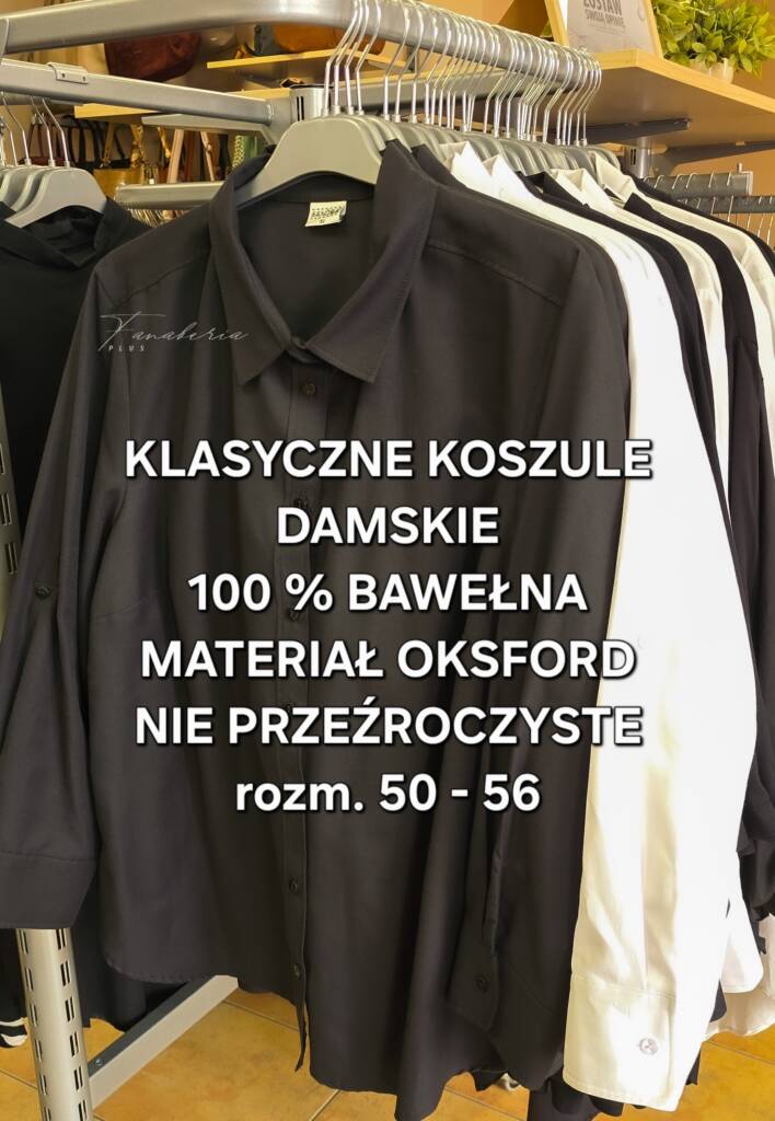 odzież duże rozmiary Wrocław